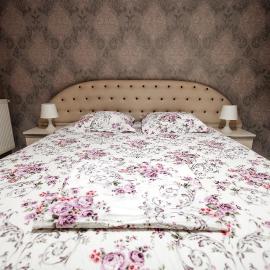 Luxury Radox Airport Bucharest 2