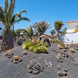 Casa Ina in El Roque, El Cotillo, хотел в Roque