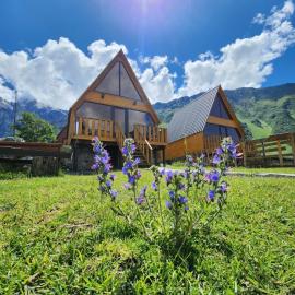Cottage Carpe Diem, hotell i Kazbegi