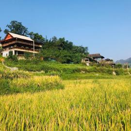 Sần's House, hotel in Lao Cai