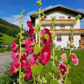 Bergkristall B&B, hotelli kohteessa Berwang