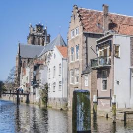 Blom aan de Gracht
