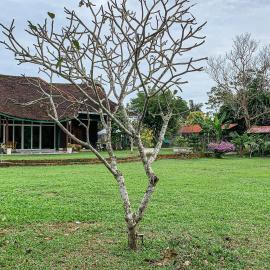 Aaira 8Pari Riverview Lodge