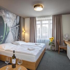 Hotel Lidový dům, hotelli kohteessa Bzenec