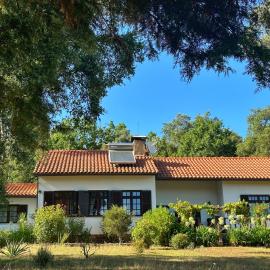 Quinta Do Pereiro, hotel in Tábua