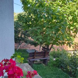 Nature, hotel din Gacko