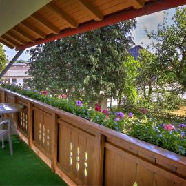 FeWo Chris, nähe Center Parcs Leutkirch - 2SZ Apartment im Allgäu,Privatparkplatz, Hotel in Frauenzell