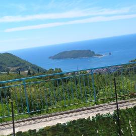 Apartmani Vujovic Markovici