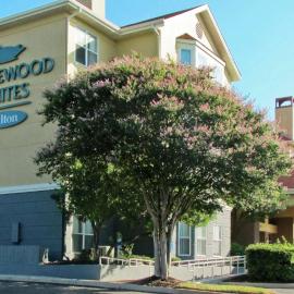 Homewood Suites by Hilton San Antonio Northwest – hotel w mieście San Antonio