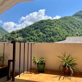 Guest House Lulu, hotel in Barisakho