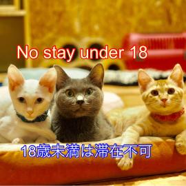 Nekokura Hostel、福岡市のホテル