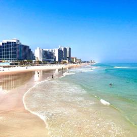 Hilton Daytona Beach Resort, hotel v Daytona Beach