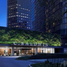 C. Baldwin, Curio Collection by Hilton