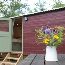 Cosy Shepherd's Hut with Hot Tub, hotel in Church Stretton