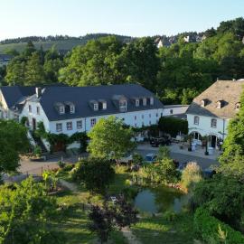 Mertesdorf में, होटल Hotel und Weingut Karlsmühle