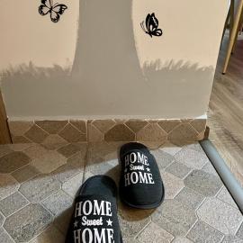“Home sweet home”, hotel en Sîntandrei