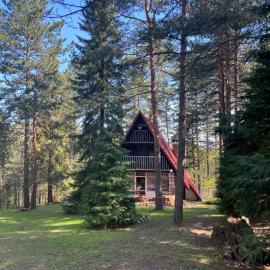 Tarushka house
