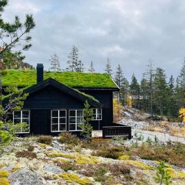 Storekleiv Hyttefelt Tuddal, hotelli kohteessa Tuddal