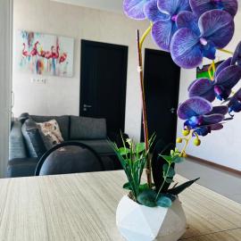 BOBLINE BAKURIANI SUITE, hotel di Bakuriani