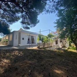 Casa La Fineta