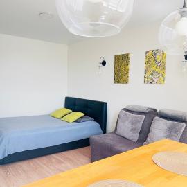 Cozy apartment with lake view, hotell i Trakai