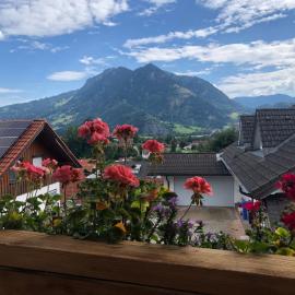 Nagelfluh Hüs, hotel in Blaichach