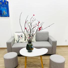 Studio Luxury Sakura - Vinhome Smart city Mỹ Đình