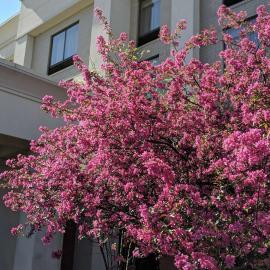 Hampton Inn & Suites Cincinnati-Union Centre