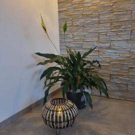 Wellness Ferienhaus，梅謝尼希的飯店