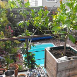 Maison de ville terrasse piscine jardin, hotel Niort-ban