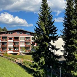 Apartment Schöne Aussicht - App 1406 - EX-Kurhotel by Interhome, hotel in Schluchsee