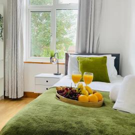 Lovely 4 Bed, Family & Contractors Luton Airport & M1 by Properties2you, hotel di Luton