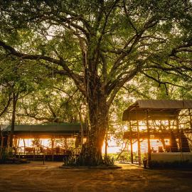 ASKIESBOS - Samochima Bush Camp, hotel v destinaci Shakawe