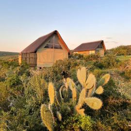 Harmony Luxury Tents & Safari, hotel din Addo