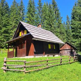 BRINA Pokljuka