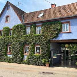 Schönbachhof، فندق في Silz