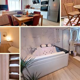 ArtGold * Logement Haut de gamme Spa, hotel u gradu 'Roanne'