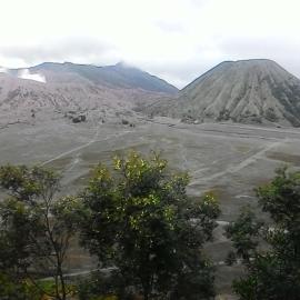 Mentigen homestay: Ngadisari şehrinde bir otel