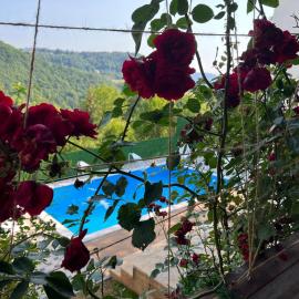 Villa IMAN, hotel v Sarajevu