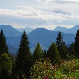 Alpenchalet Waldl - la Lepre