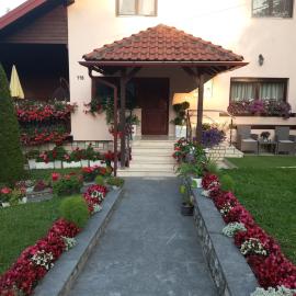 Apartment Vihor