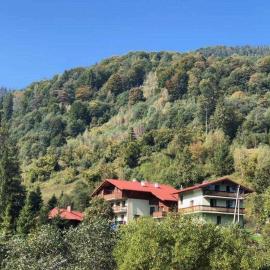 Лісова казка, hotel in Slavske
