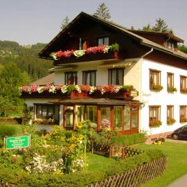 Pension Leyrer, hotel in Kötschach