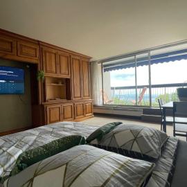 LE PANORAMA studio privé avec vue magnifique TURCKHEIM TROIS ÉPIS, hotel i Turckheim
