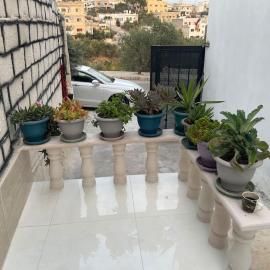 Beit Al Hasan بيت الحسن, hôtel à Um Qeis