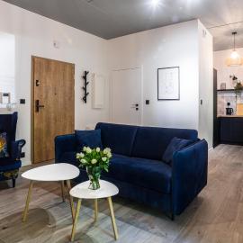 Apartament Parkowy przy Stadionie Śląskim Katowice Chorzów, hotel i Chorzów