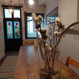 Plezantwerpen, Zuiderzin, hotel in Antwerp