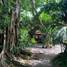 Brigitte's Ranch, hotel din Cahuita