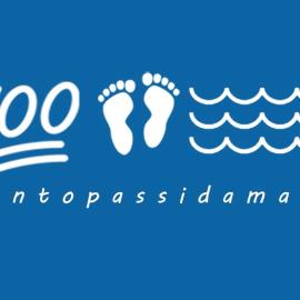 Centopassidamare
