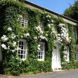 Rose in Vale Country House Hotel, hotel em St. Agnes 
